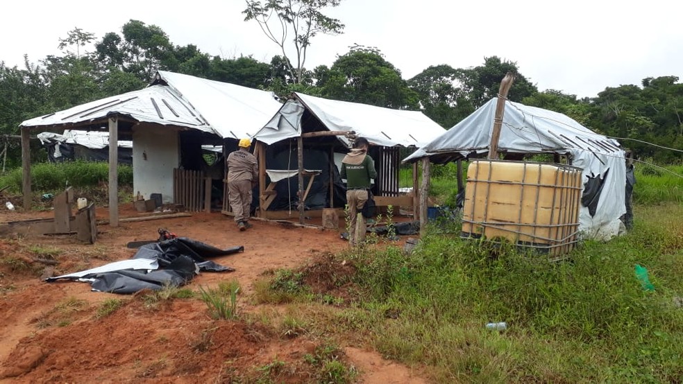 8ª Fase da Operação 'Amazônia Viva' flagra garimpos ilegais, faz apreensões e faz prisões na região oeste do Pará  — Foto: Semas/Divulgação
