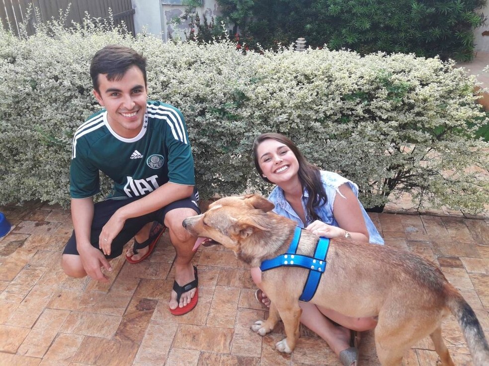 Casal encontrou vira-lata perto de onde aconteceu o casamento (Foto: Arquivo Pessoal/Marília Pieroni)