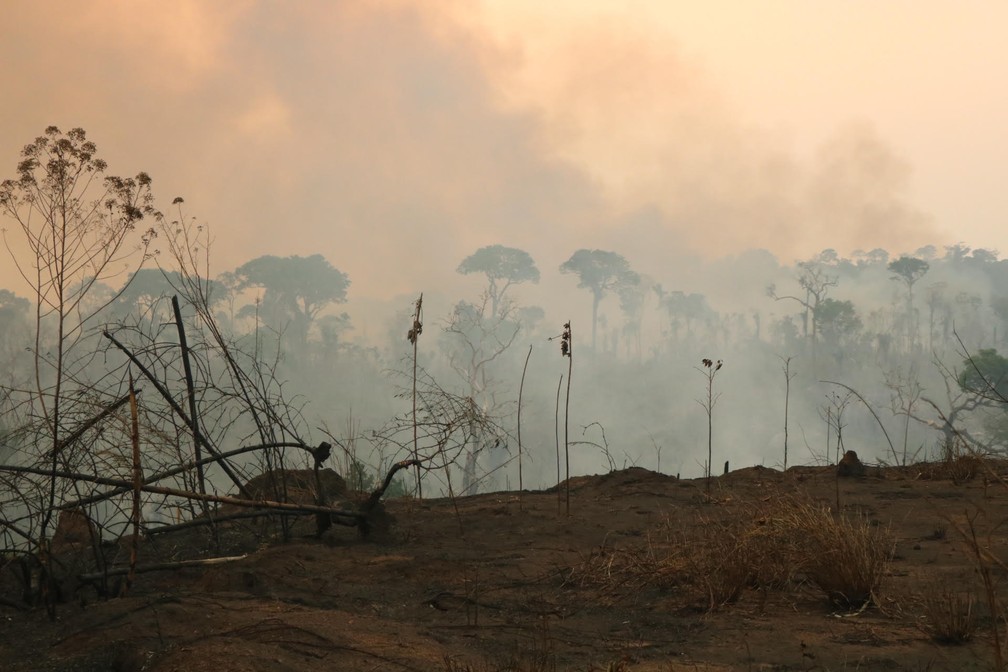 Queimadas em Rondônia. — Foto: MP-RO/Divulgação