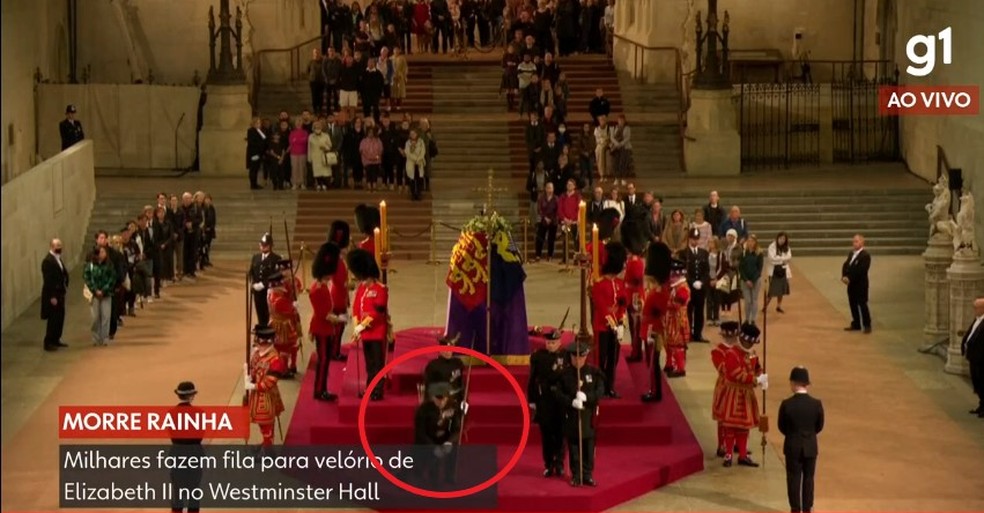 Detalhe mostra guarda caindo no Westminster Hall — Foto: g1