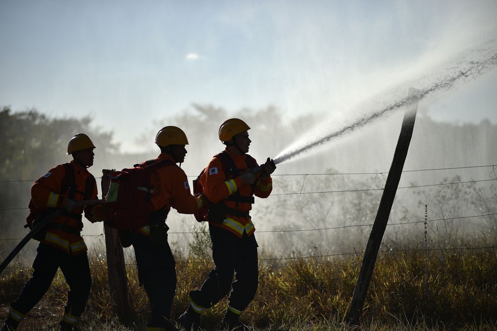 Bombeiros do DF apagam fogo em incêndio (Foto: Andre Borges/Agência Brasília)
