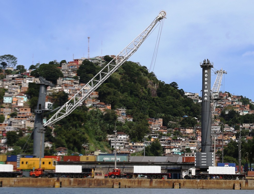 Terminal e guindastes da Rodrimar, no Porto de Santos, SP — Foto: José Claudio Pimentel/G1