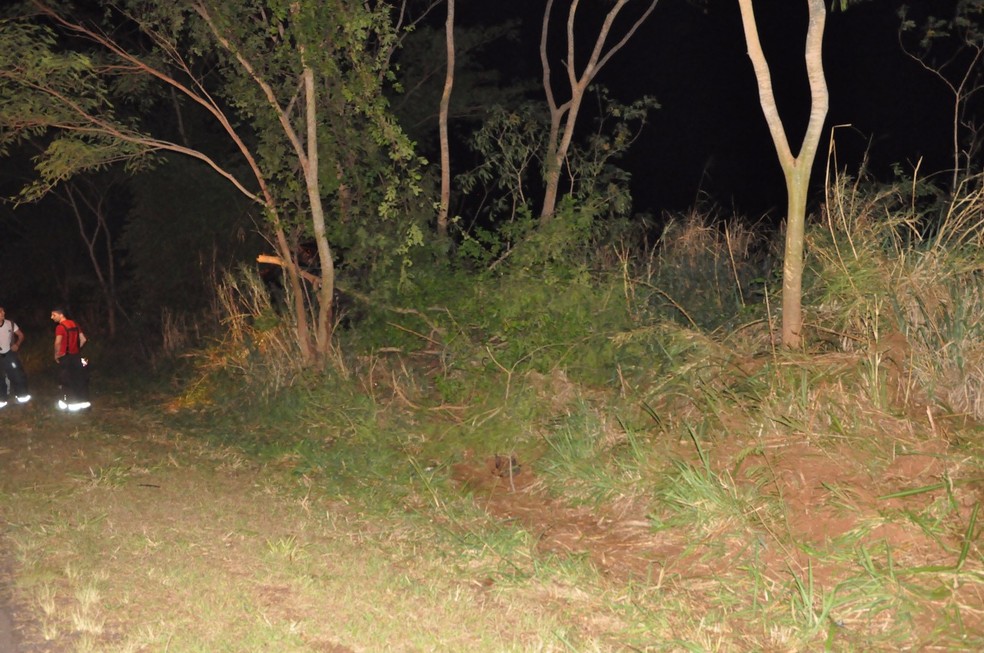 Veículo capotou e ainda bateu em uma árvore, em Junqueirópolis (Foto: Base de Socorristas de Junqueirópolis/Divulgação)