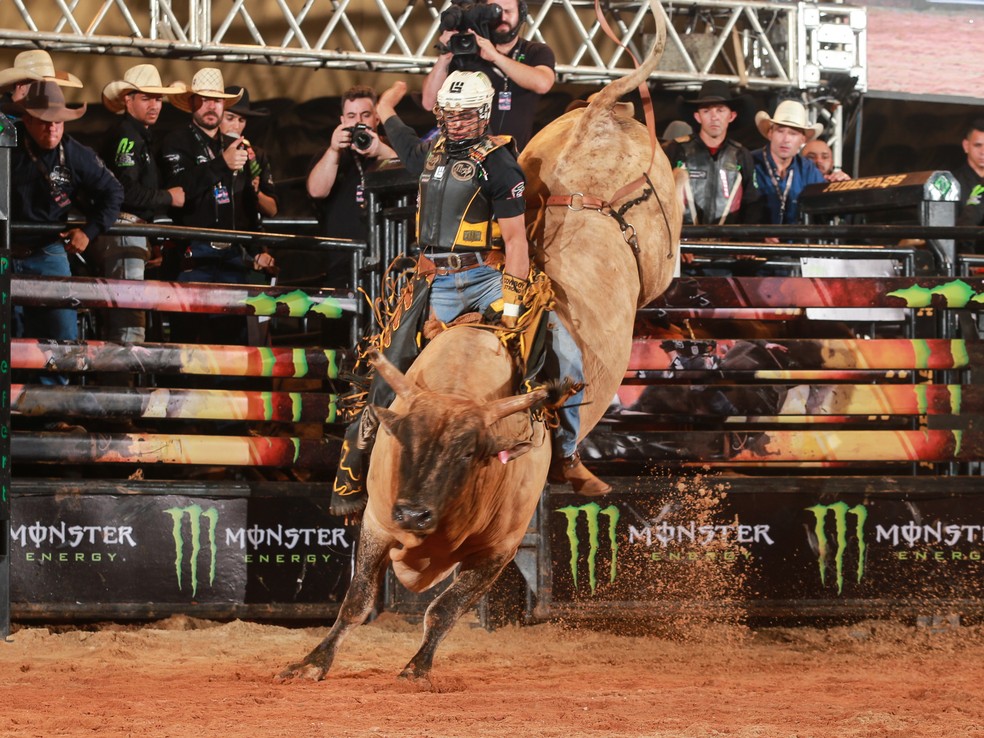 Prova de montaria em touro durante campeonato — Foto: PBR/ Divulgação