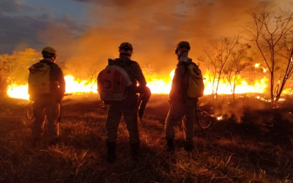 Bombeiros combatem incêndio que ameaça parque ecológico às margens da GO-080, em Goiânia, Goiás — Foto: Divulgação/Corpo de Bombeiros