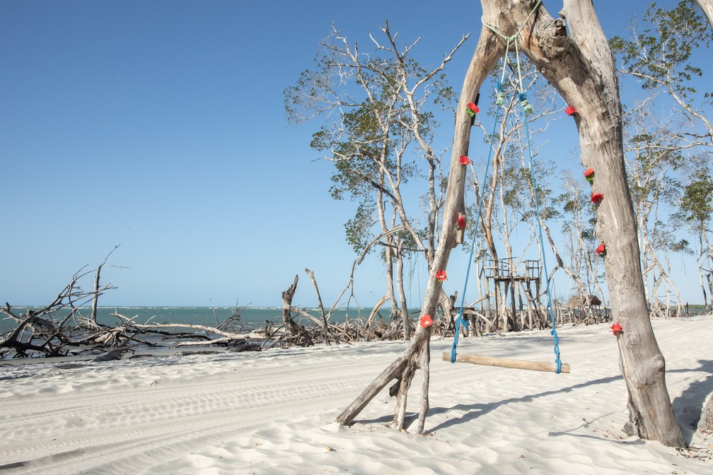 Mangue Seco: parada estratégica para fotos em meio aos galhos retorcidos — Foto: Celso Tavares/G1