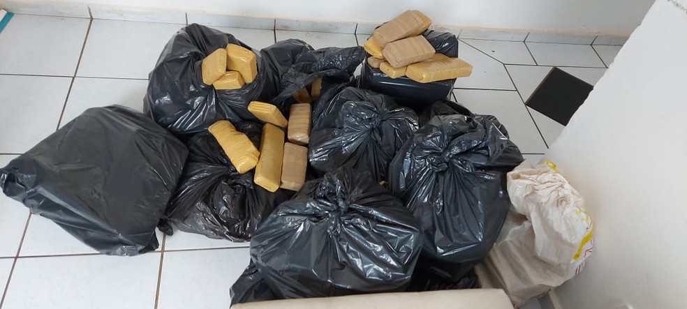 Tijolos de maconha apreendidos em Votuporanga (SP) estavam dentro de sacos plásticos — Foto: Polícia Civil/Divulgação