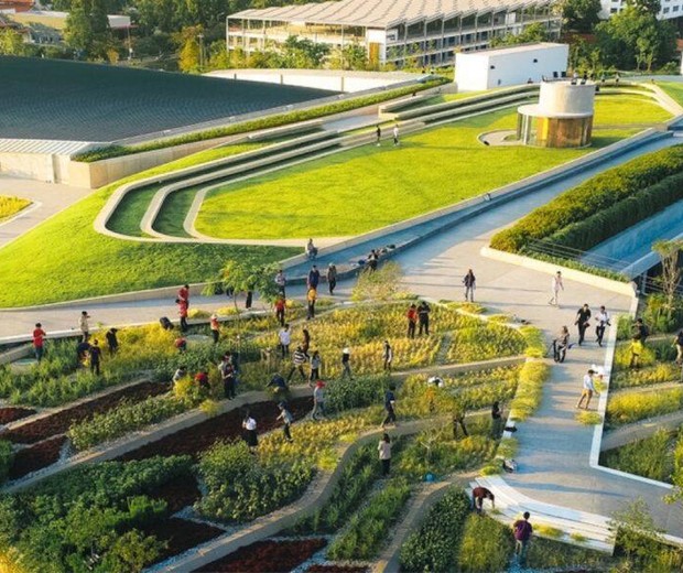 Universidade na Tailândia tem teto verde de 7 mil m² que produz 20 toneladas de alimentos por ano (Foto: Panoramic Studio / Divulgação)