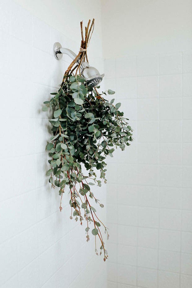 Pendurar ramos de eucalipto no chuveiro é nova moda do Pinterest (Foto: reprodução)