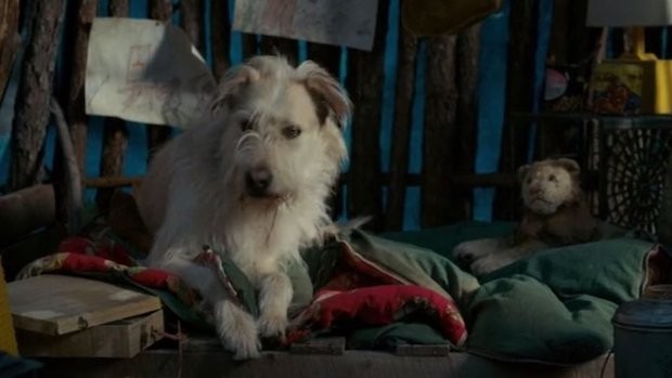 Chester foi o cachorro da família (Foto: Netflix / Reprodução)
