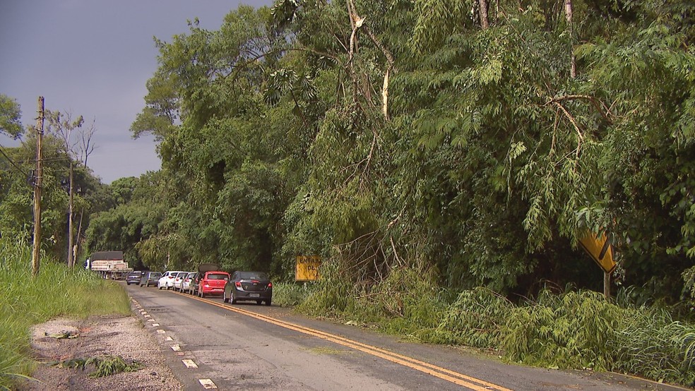 BR-267 tem pontos de engarrafamento em Juiz de Fora — Foto: TV Integração/Reprodução