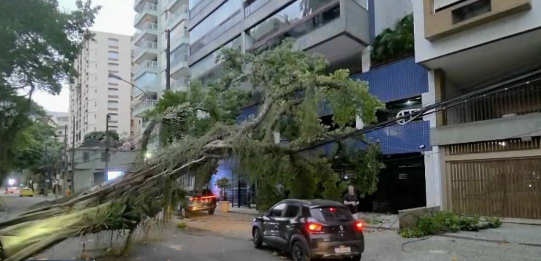 Na Rua Fonte da Saudade, entre os bairros da Lagoa e do Humaitá, uma árvore caiu e atingiu a fiação