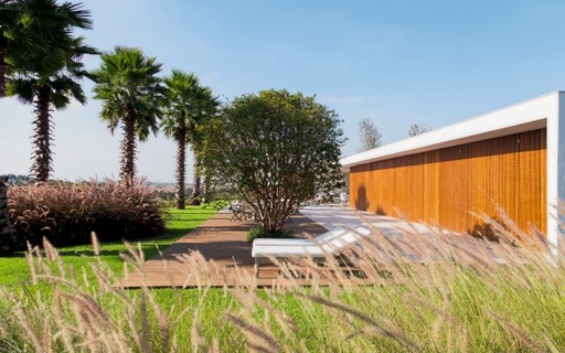 Diferentes Especies Convivem No Jardim Criado Por Alex Hanazaki Casa E Jardim Paisagismo