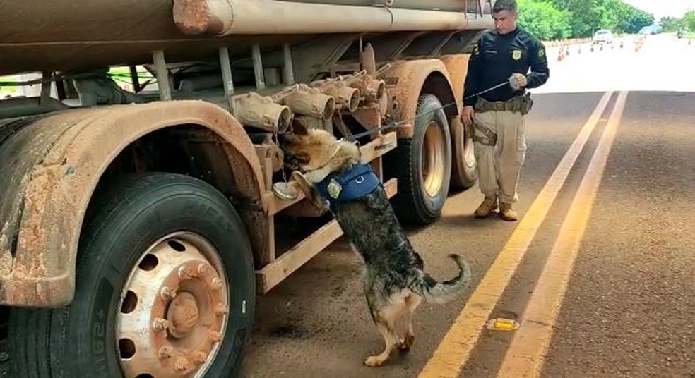 Os policiais encontraram 1,9 tonelada da droga no tanque de um caminhão. — Foto: PRF