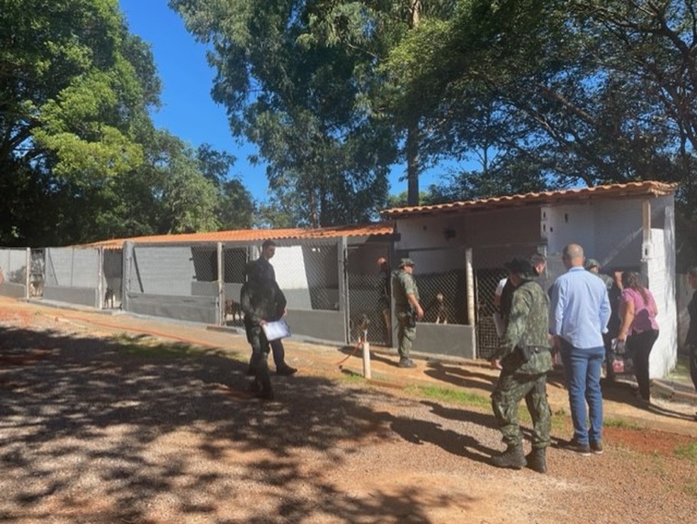 Operação prendeu duas pessoas por manterem animais em situação de maus-tratos em abrigo de Itapeva (SP) — Foto: MPSP/Divulgação