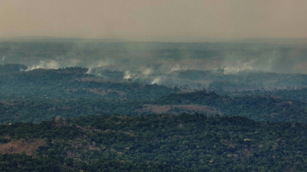 Incêndio identificado no Parque Cristalino II — Foto: Divulgação / Rede Pró-UC