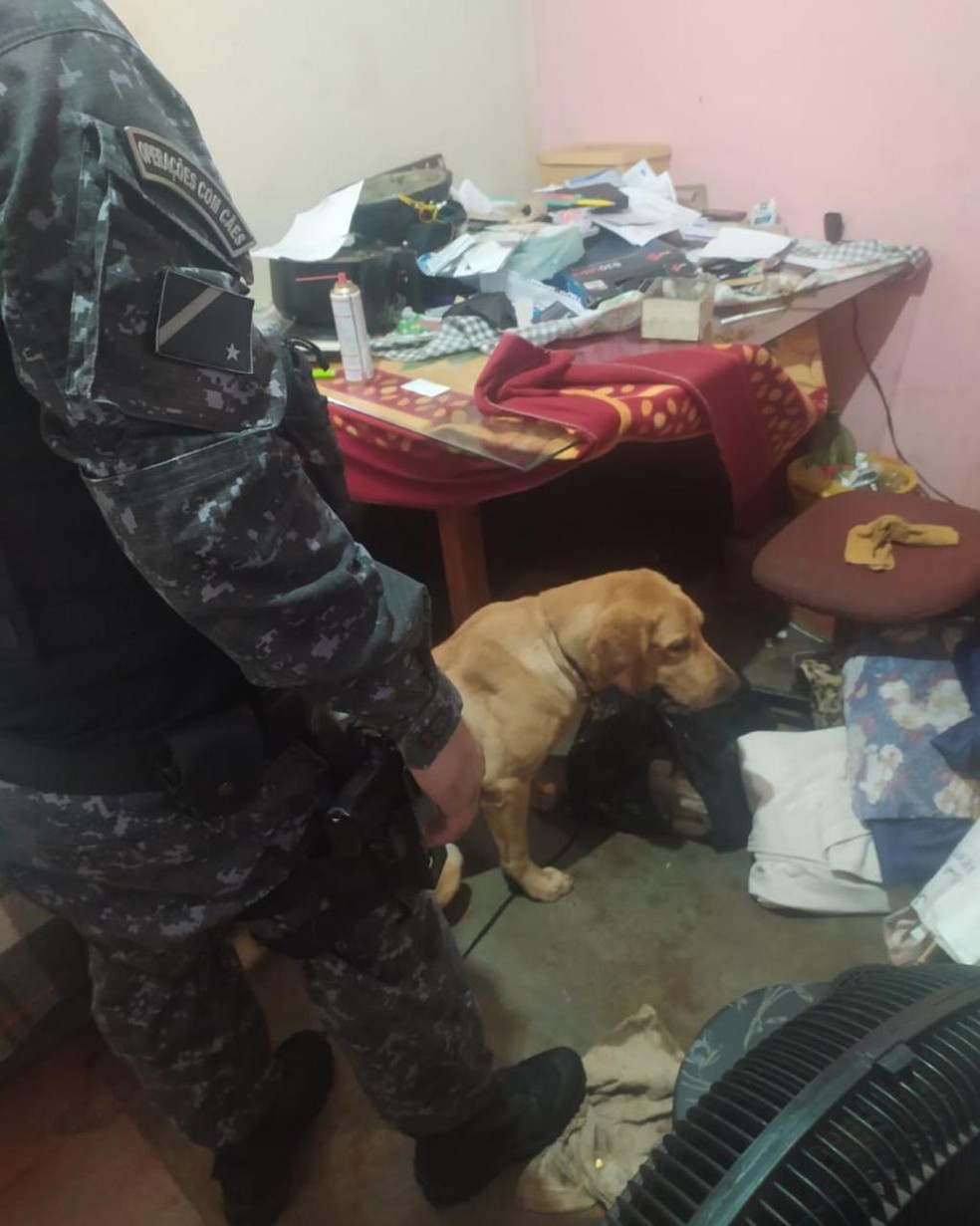 Policiais contaram com cães farejadores para varredura — Foto: Polícia Militar/Divulgação