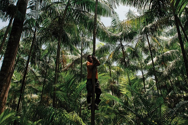 Guilherme Leal: “Ainda estamos olhando para a floresta da mesma maneira que há 500 anos” (Foto: Filipe Redondo / Editora Globo)