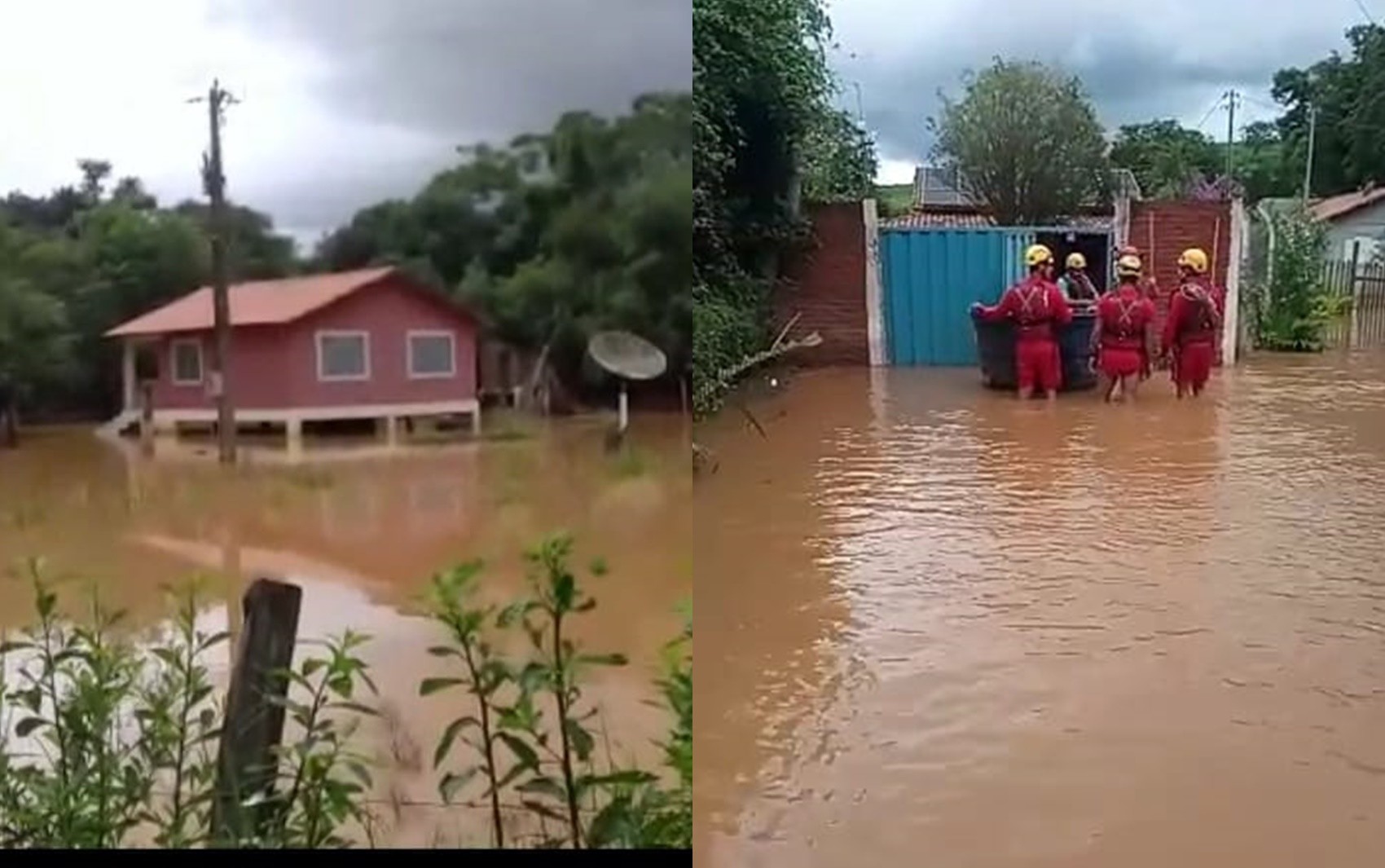 Corpo de Bombeiros resgata cães ilhados pela chuva em sítio em MG 