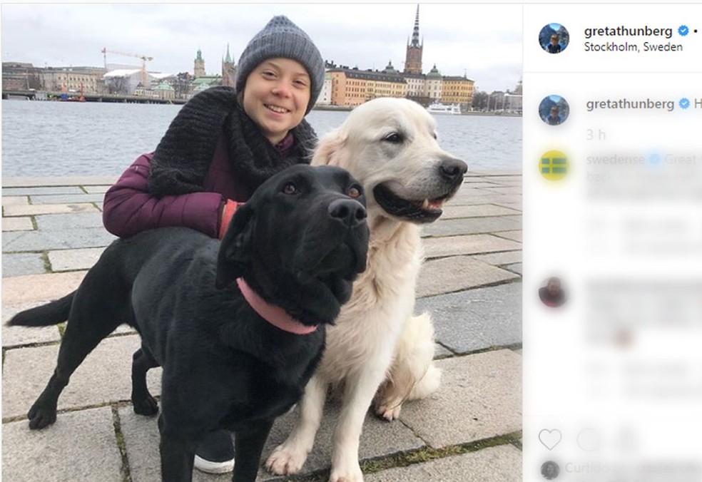 Greta Thunberg volta à Suécia após viagem de 4 meses para participar da Cúpula e da Conferência do Clima da ONU — Foto: Reprodução/Instagram