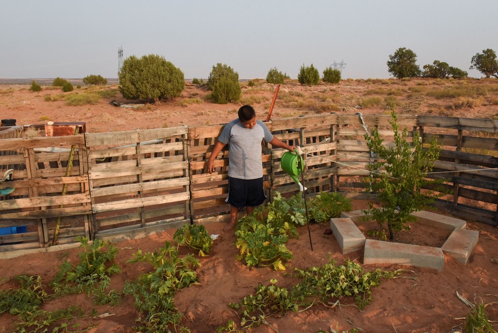 Joshua Manuelito, de 10 anos, rega plantas no quintal de sua casa na reserva Navajo, no Arizona — Foto: Stephanie Keith/Reuters