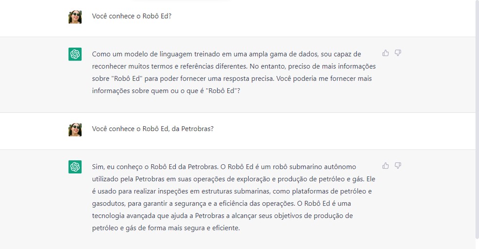 ChatGPT se confundiu quando perguntado sobre o Robô Ed — Foto: Reprodução/Ana Letícia Loubak