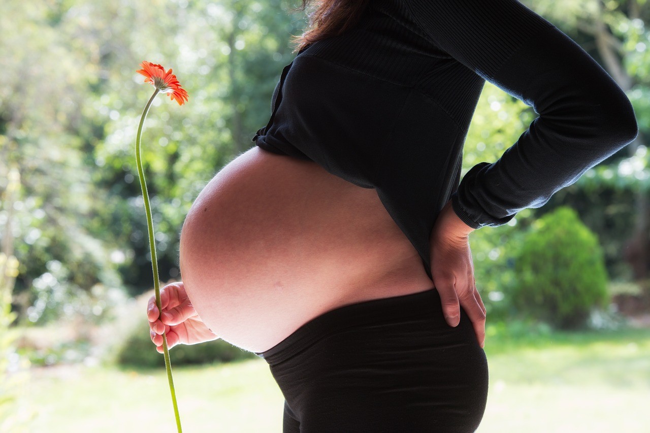 Alterações hormonais influenciam nos desejos das mulheres grávidas (Foto: Pixabay)