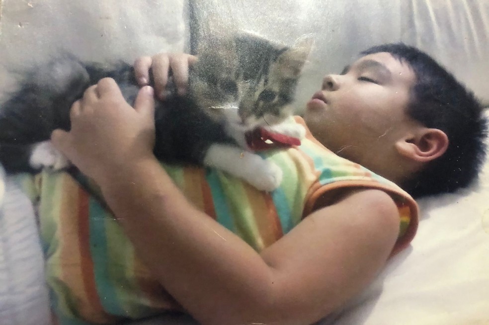 O gato Sushi viveu 14 anos com a família Hiroshi, em Itapetininga (SP) — Foto: Arquivo pessoal/Família Hiroshi