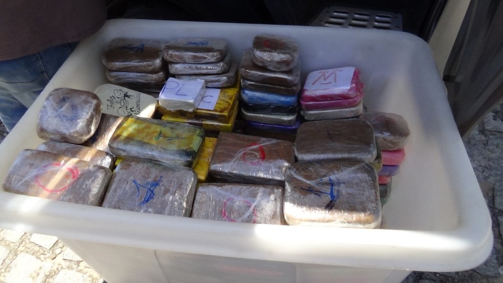 Polícia Federal apreendeu os 277 quilos de cocaína em Monte Alegre, na Grande Natal (Foto: Divulgação/Polícia Federal)