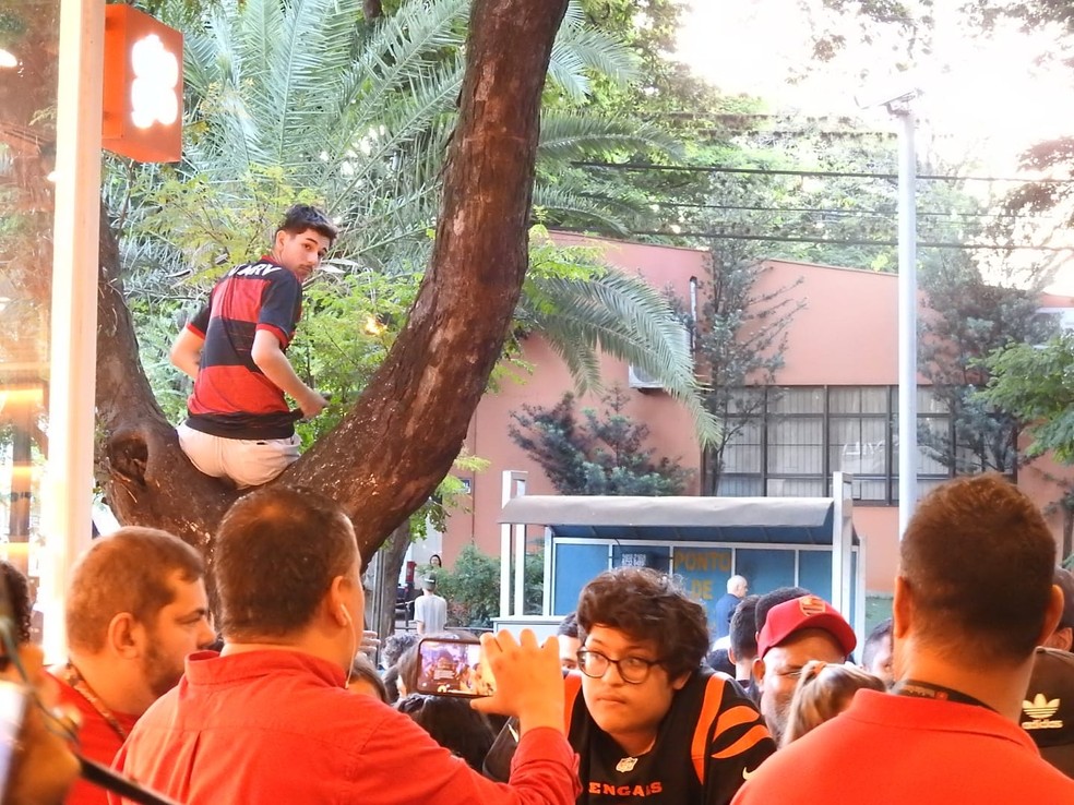 Torcedor do Flamengo em cima da &aacute;rvore para acompanhar chegada do Flamengo em Maring&aacute; &mdash; Foto: Fred Gomes / ge