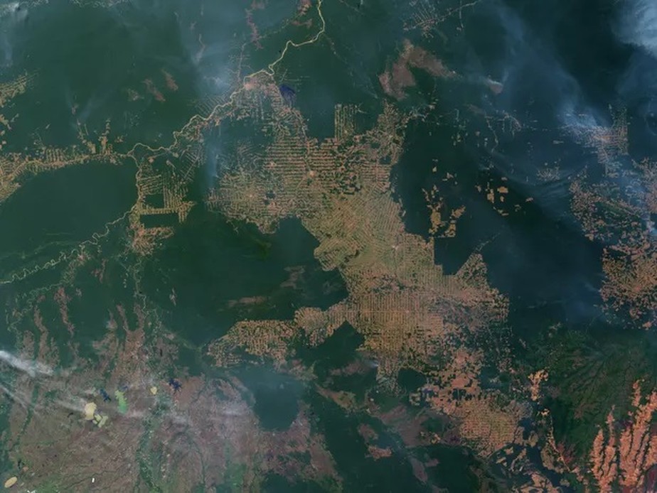 Extensão do desmatamento no estado de Rondônia