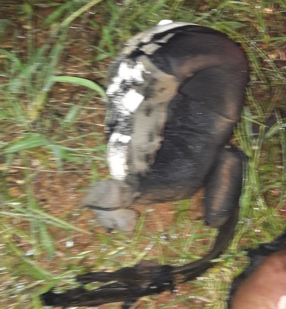 Imagem mostra como o capacete da vítima ficou após o raio (Foto: Divulgação)