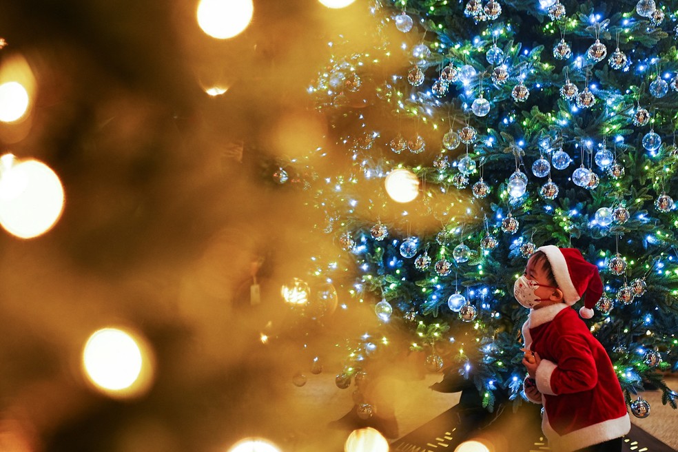 Dia de Reis: por que desmontamos a árvore de Natal no dia 6 de janeiro? |  Pop | gshow