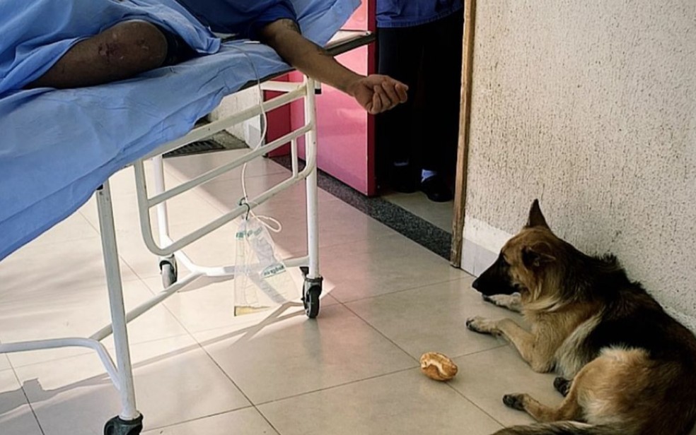 Cachorro segue dono até unidade de saúde e o acompanha na volta para casa, em Mineiros — Foto: Arquivo Pessoal/Igor Paiva
