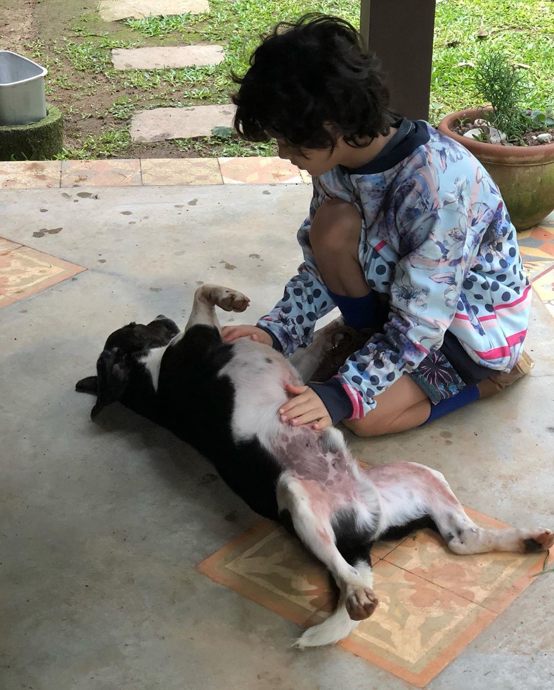 Kauai e o cachorro  (Foto: Reprodução / Instagram)