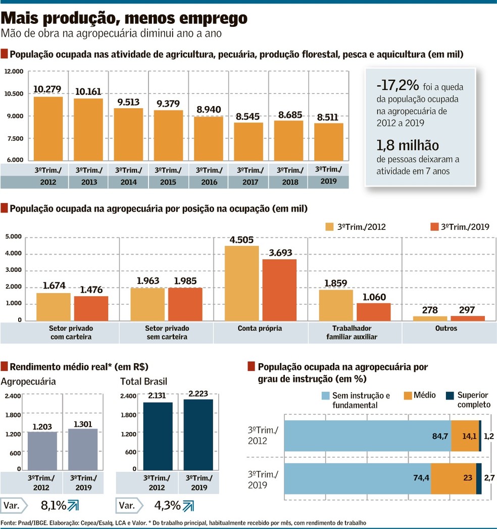 Estatística De Empregabilidade De Jovens Por Região Do País