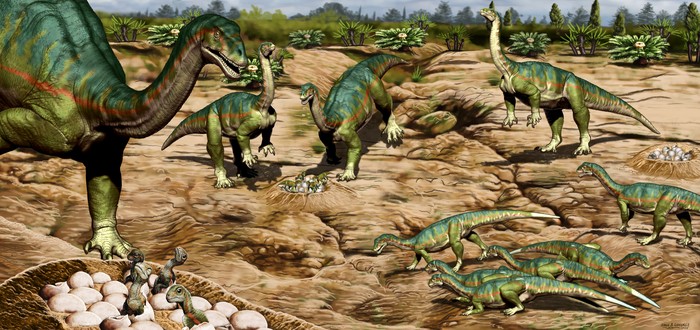 Dinossauros já viviam em grupos há 193 milhões de anos (Foto: Jorge Gonzalez)