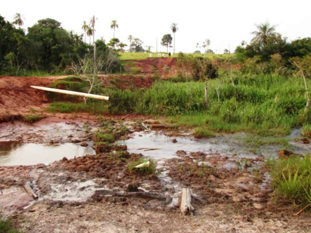 Mata ciliar ficou degrada com pisoteio do gado em propriedade de Iguatemi (Foto: Divulgação/ PMA)