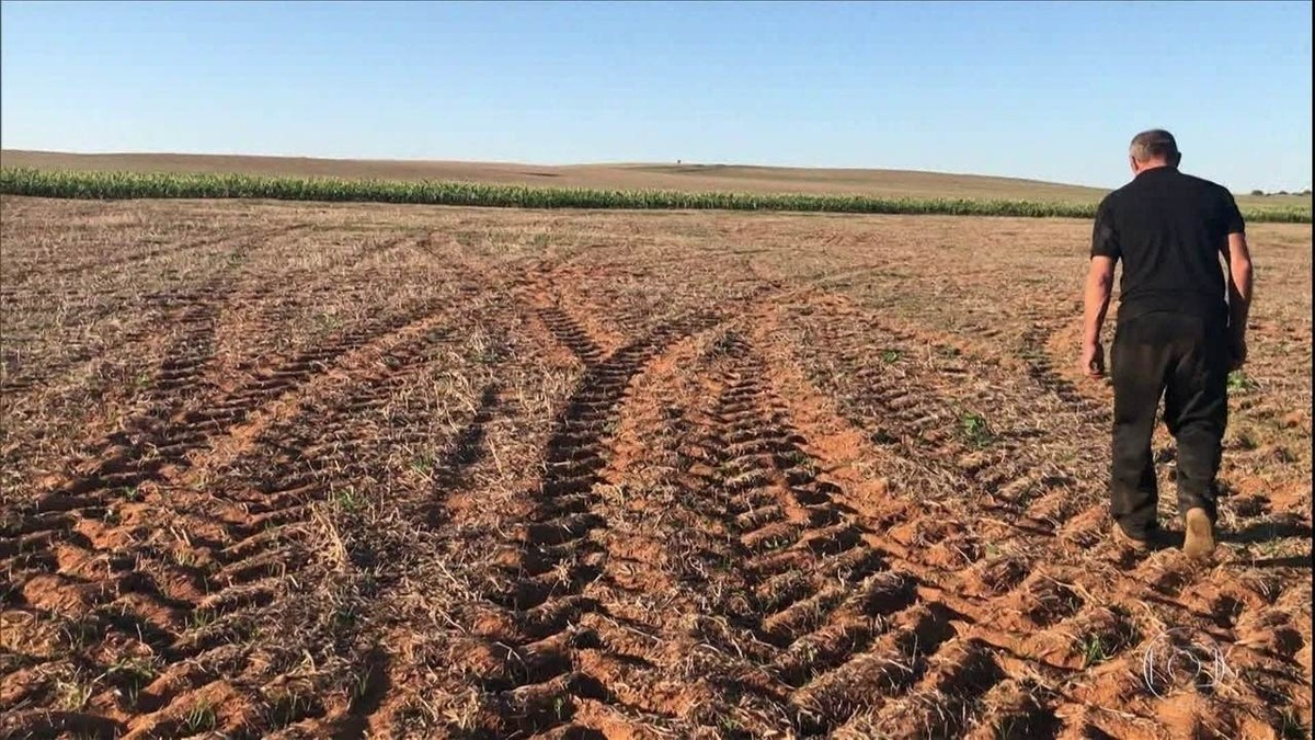 Agricultores do Rio Grande do Sul reclamam da demora no pagamento de seguro que cobre quebra de safra thumbnail
