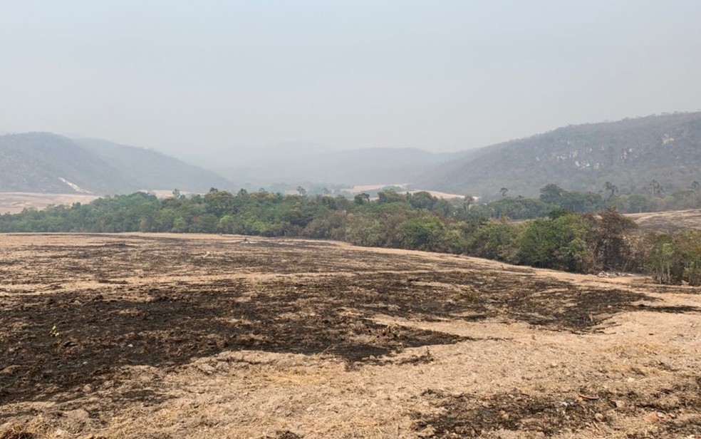 Incêndio na Chapada dos Veadeiros já queimou mais de 30 mil hectares de vegetação em Goiás — Foto: Divulgação/Polícia Civil