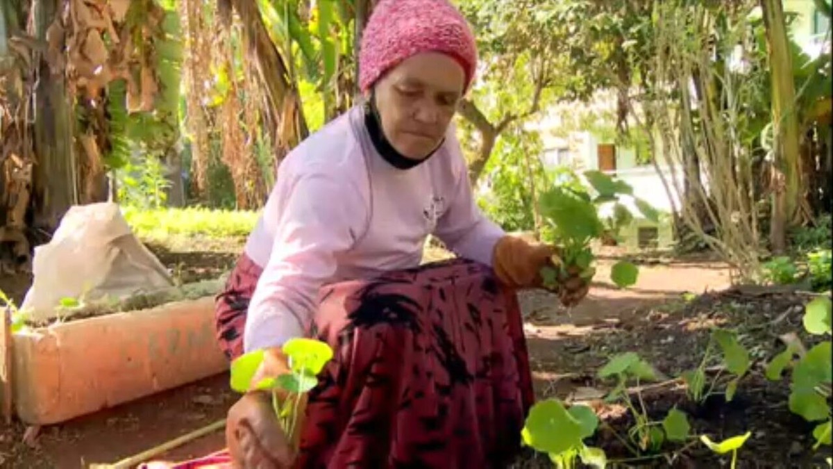 Mulheres da periferia de SP transformam lixão em horta urbana; reveja reportagem especial