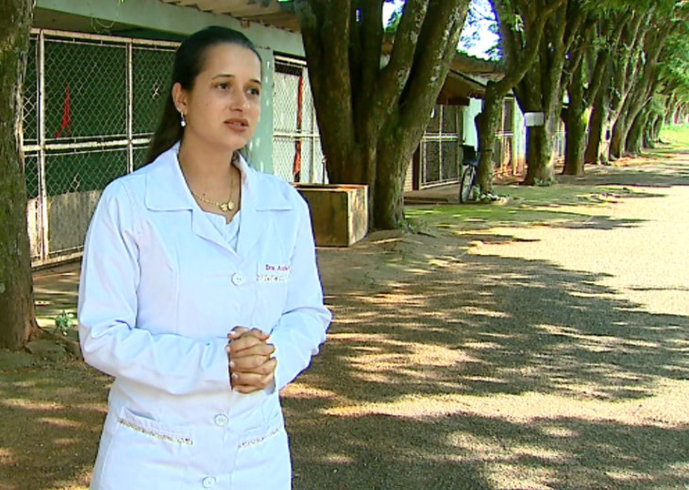 Veterinária Andrea Ávila explica que cães de canil de Santa Lúcia morreram de giárdia (Foto: Paulo Chiari/EPTV)