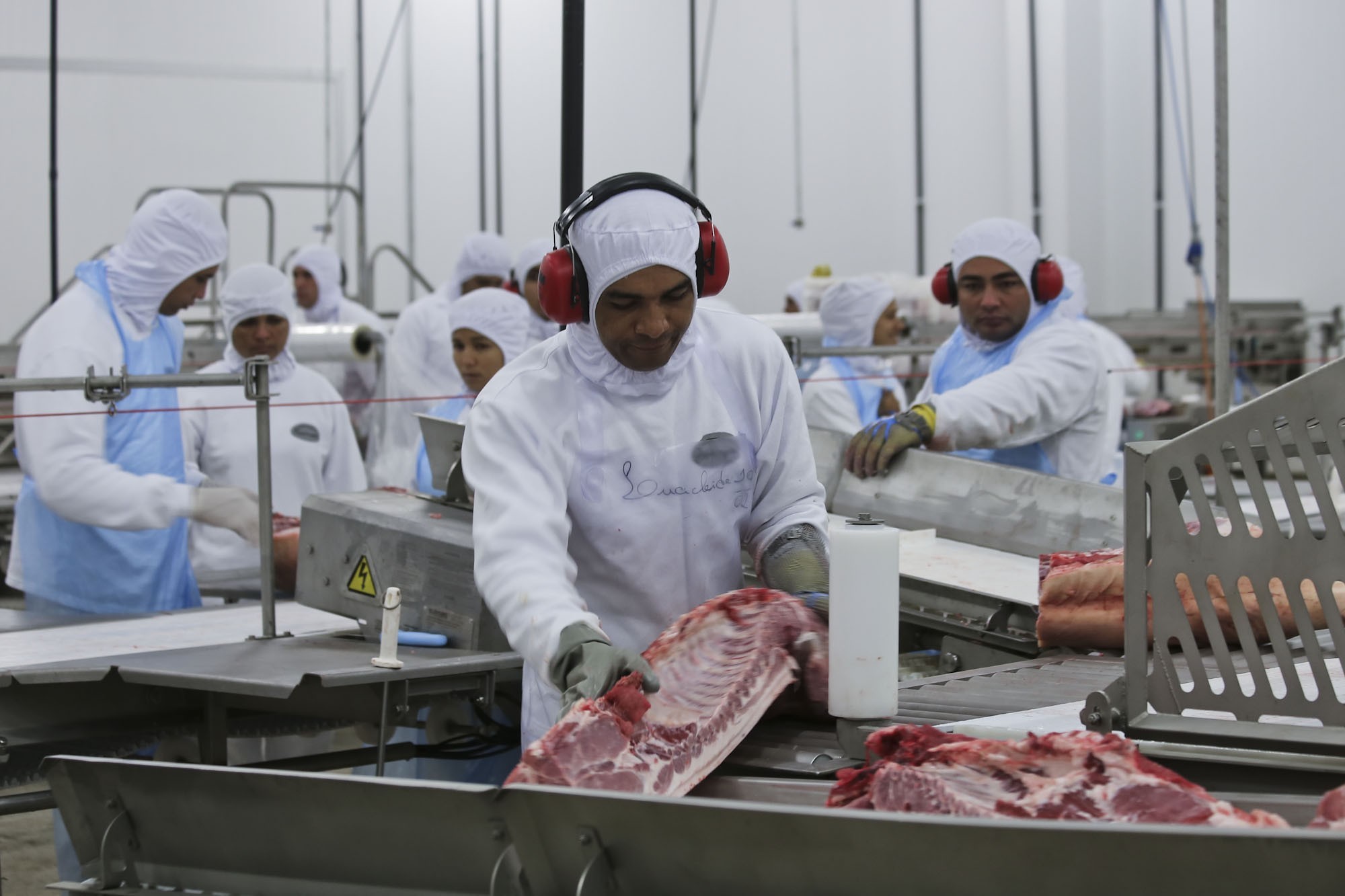 Abate de bovinos cai pelo 5º ano seguido e o de suínos bate recorde no Acre em 2021, aponta IBGE