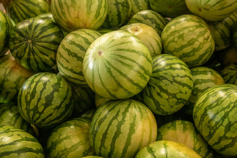 Melancia é uma fruta de verão: se dá bem em lugares quentes e secos. — Foto: Celso Tavares/g1