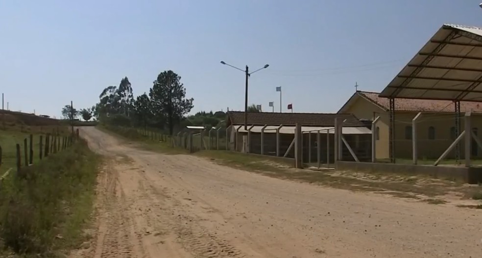 Macaco morto foi encontrado na Zona Rural de Itapetininga (SP) (Foto: TV TEM/ReproduÃ§Ã£o)