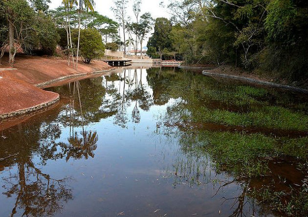 Jardim Botânico da Universidade Federal de Juiz de Fora — Foto: Alexandre Dornelas/UFJF