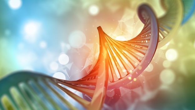 O código genético é praticamente o mesmo para todos os serres vivos - por isso, diz-se que ele é 'universal' (Foto: Getty Images via BBC News)