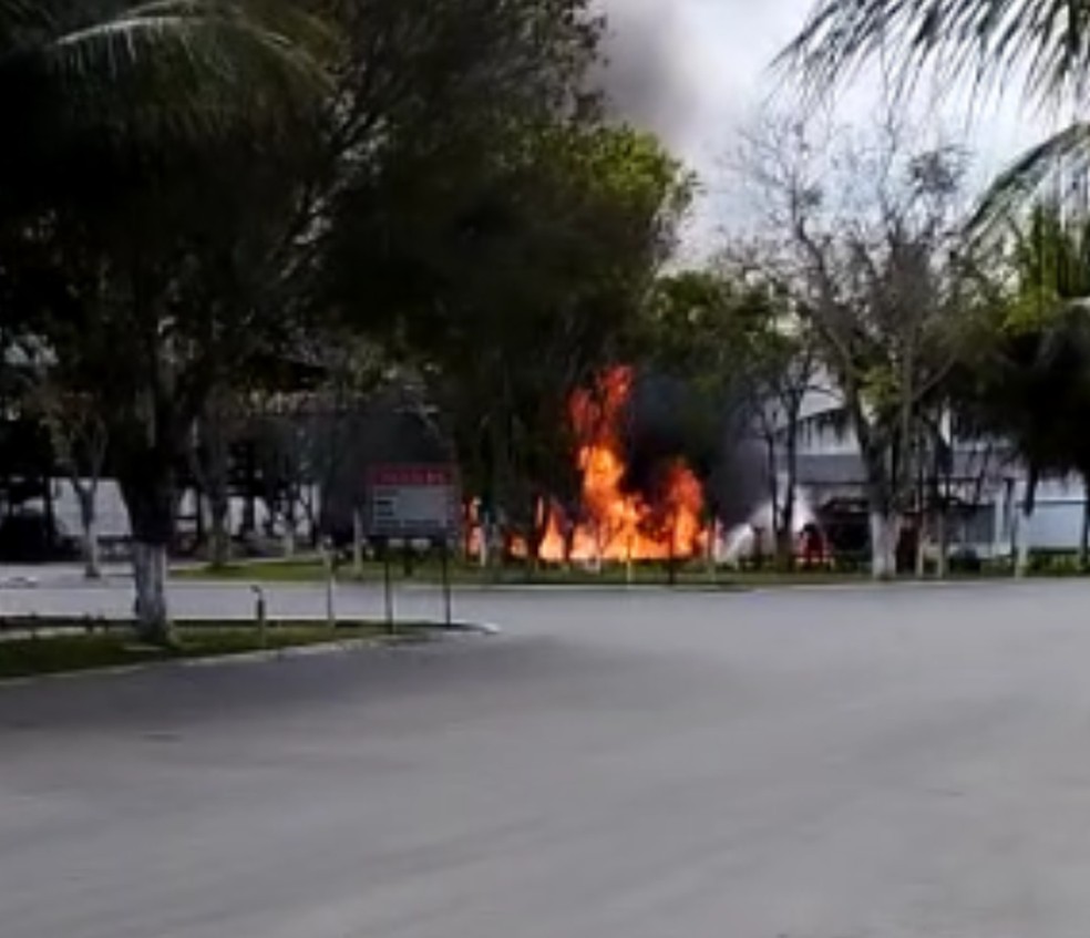 Incêndio atingiu distribuidora nesta quarta-feira — Foto: Redes sociais