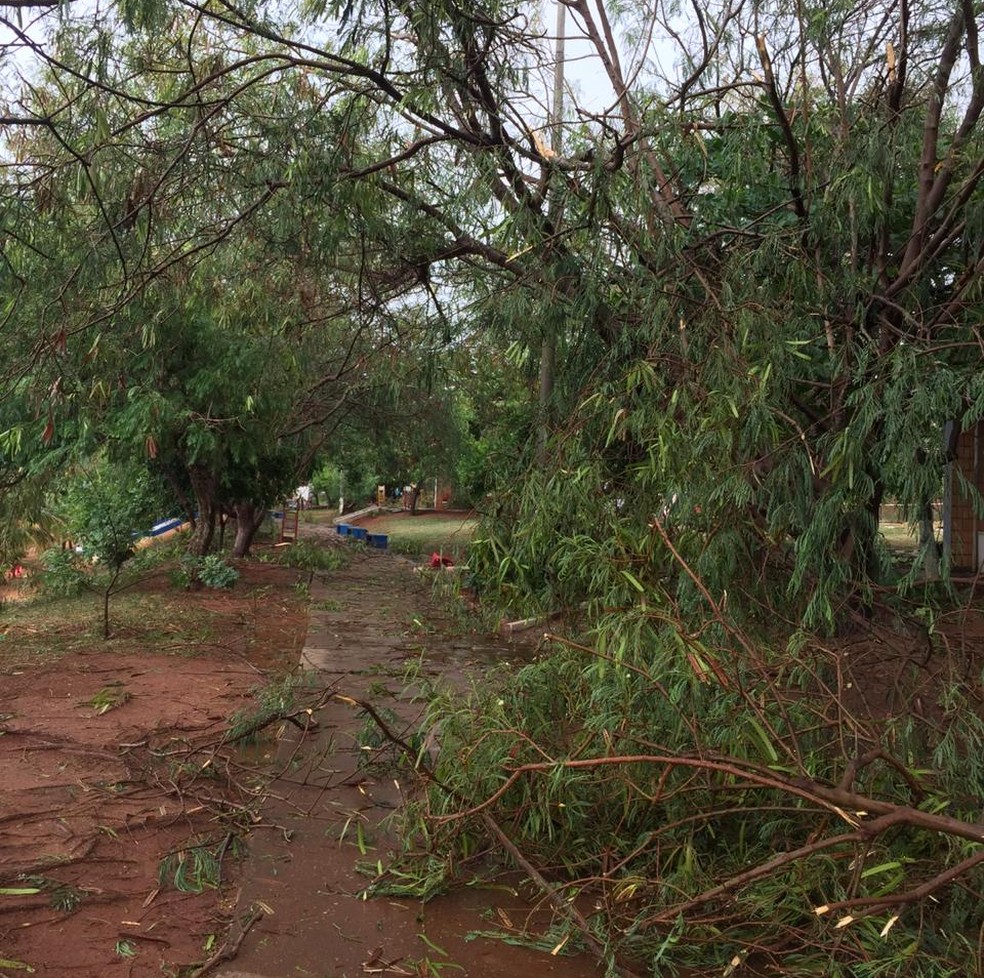 Vendaval causou estragos no Balneário de Panorama nesta terça-feira (5) — Foto: Administração Balneário de Panorama/Cedida