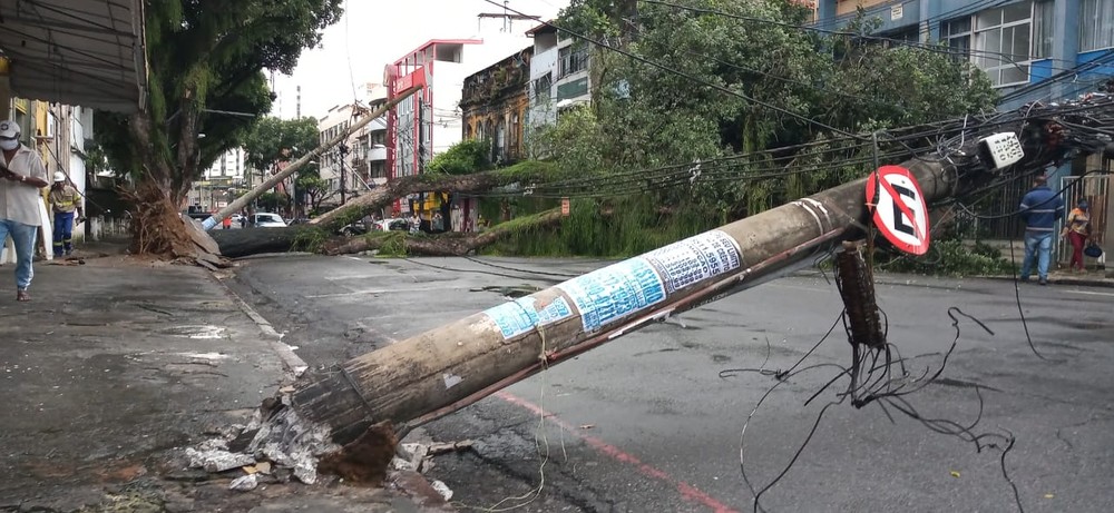 Árvore caiu na região do Gampo Grande, atingiu fios e derrubou postes, em Salvador — Foto: Cid Vaz/TV Bahia